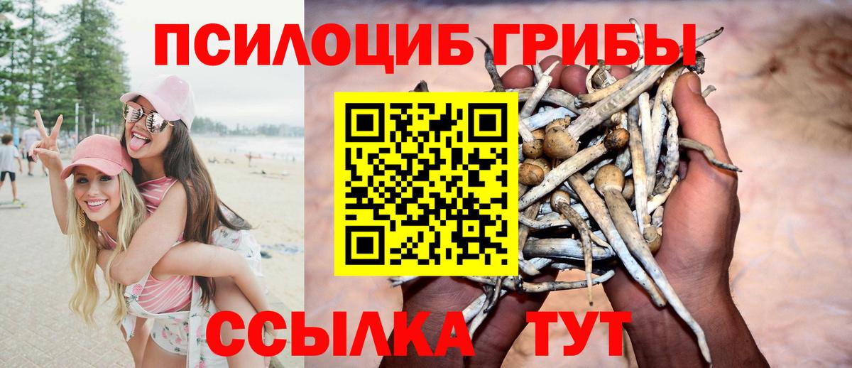 Галлюциногенные грибы Psilocybe  сколько стоит  Вход с VPN  Нефтеюганск  Галлюциногенные грибы Cubensis 